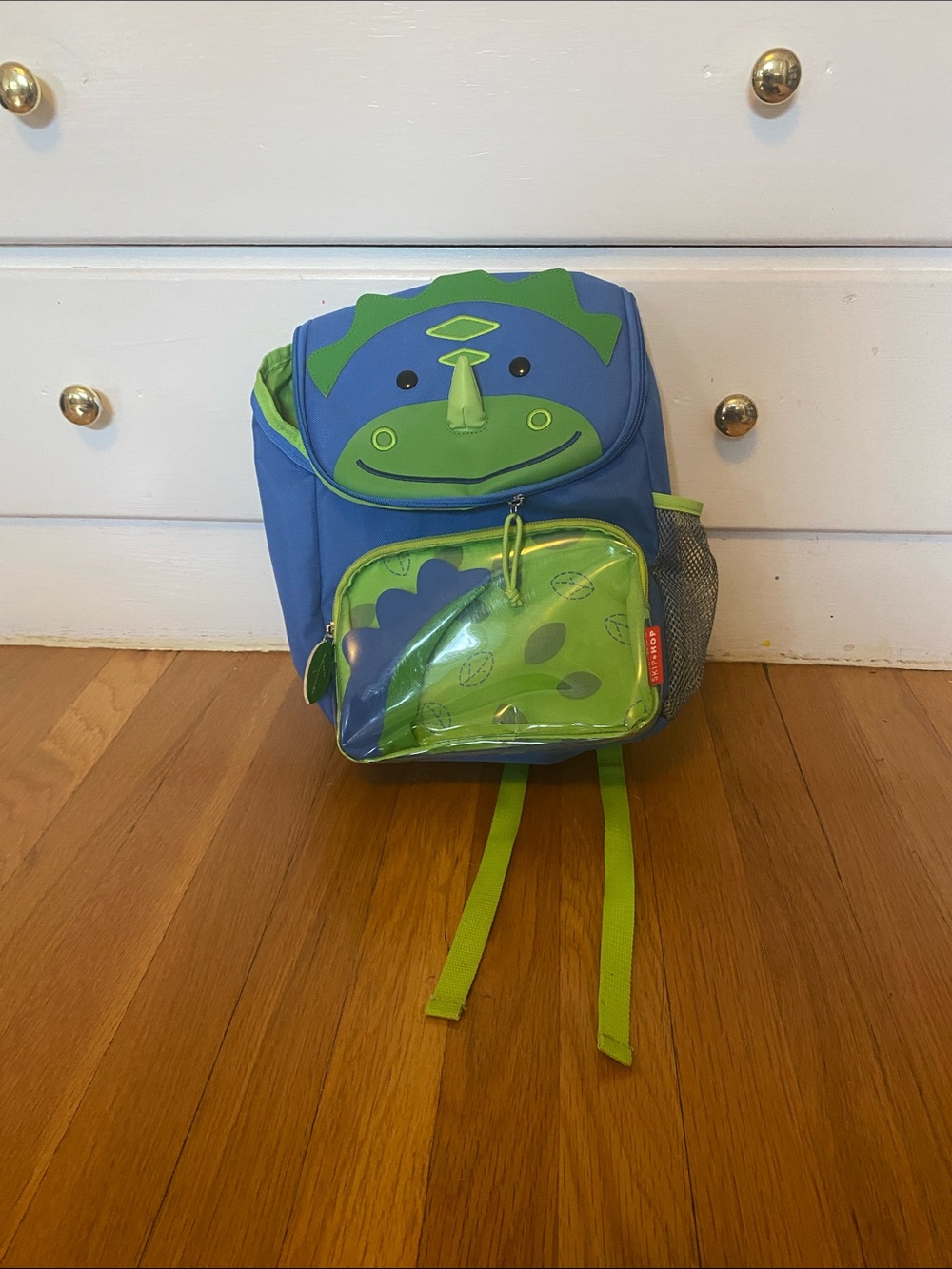 Skip Hop Blue and Green Dino Kids Backpack